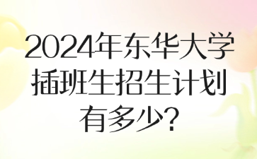 2024年东华大学插班生招生计划有多少?