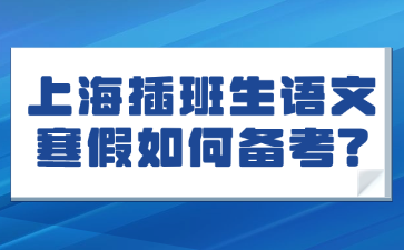 上海插班生语文寒假如何备考?